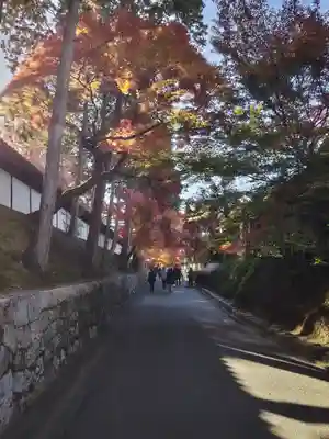 東福禅寺(東福寺)(京都府)