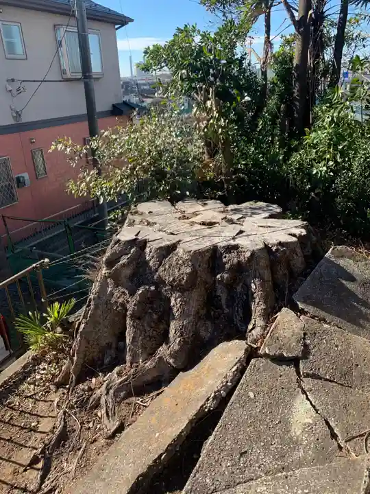若宮八幡宮(千葉県)