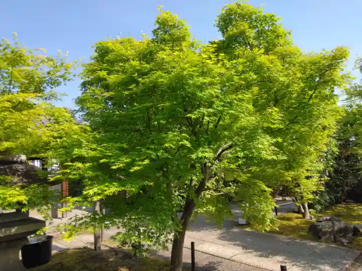 勝林寺(京都府)
