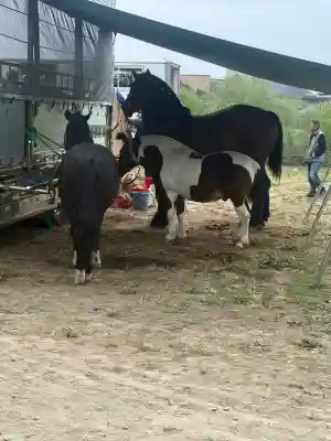 涌谷神社(宮城県)
