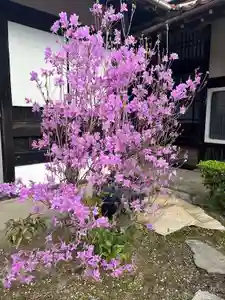 木舟山 順教寺(広島県)(2025年04月15日(火) 06時24分50秒投稿)