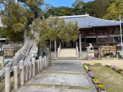 河上神社の{uncategorized: "未分類", other: "その他", undefined: "問題あり", building: "その他建物", grave: "お墓", sacred_gate: "鳥居", guardian: "狛犬", statue: "像", buddha: "仏像", history: "歴史", nature: "自然", garden: "庭園", animal: "動物", pagoda: "塔", temizu: "手水舎", mountain_gate: "山門・神門", sanctuary: "本殿・本堂", subordinate: "末社・摂社", art: "芸術", scenery: "景色", jizo: "地蔵", ema: "絵馬", goshuin: "御朱印", omikuji: "おみくじ", items: "授与品その他", amulet: "お守り", goshuincho: "御朱印帳", eats: "食事", festival: "お祭り", votive_dance: "神楽", shichigosan: "七五三参", wedding: "結婚式", experience: "体験その他", initially: "初詣", around: "周辺", anti_infection: "感染症対策"}