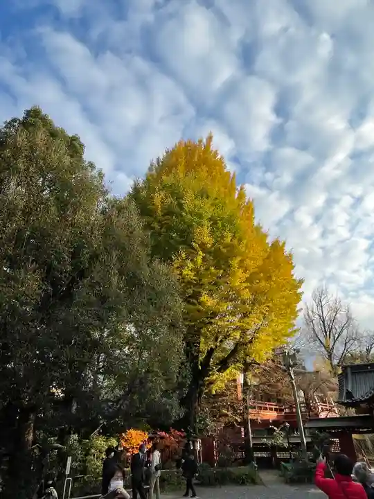 秩父神社の自然
