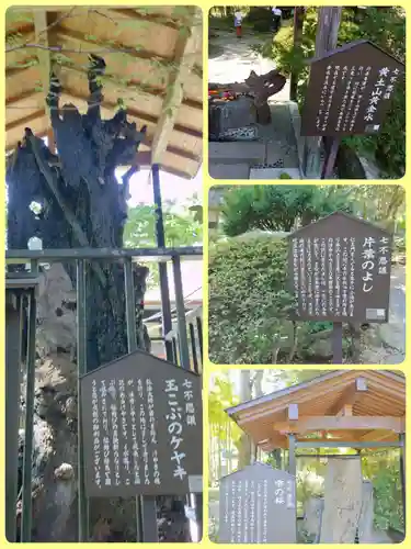 柳津虚空蔵尊 寳性院(宮城県)