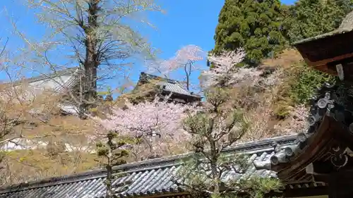 西教寺(滋賀県)