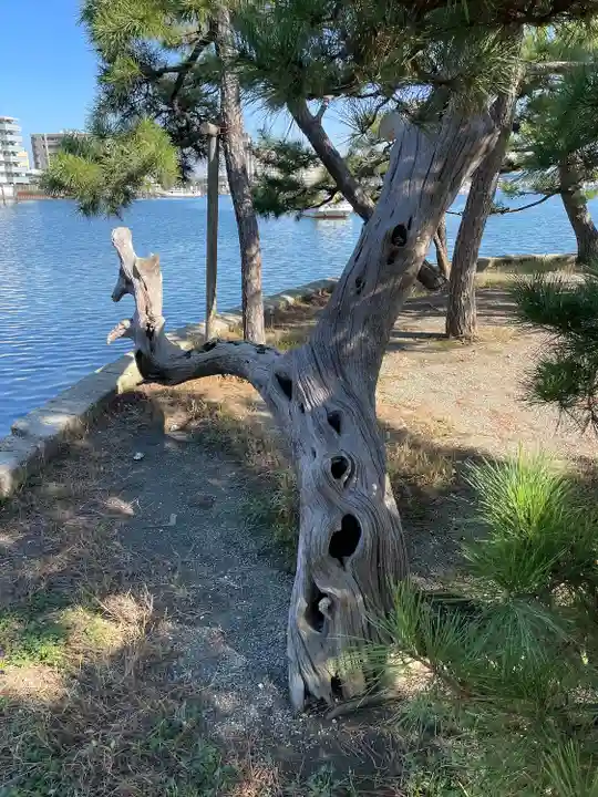 琵琶島神社(神奈川県)