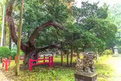 赤城神社(宮城県)