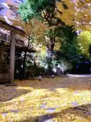 小野照崎神社(東京都)