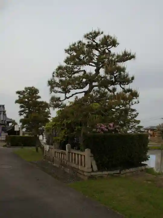 観音寺(滋賀県)