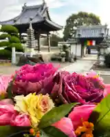 真言宗 善通寺派 薬王寺(香川県)