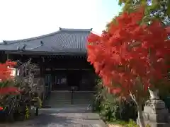 普元寺(愛知県)