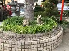 尼崎えびす神社の狛犬