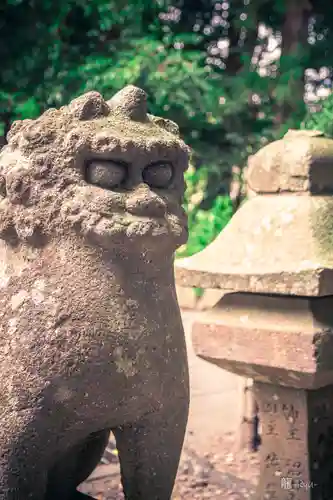 大崎八幡宮の狛犬