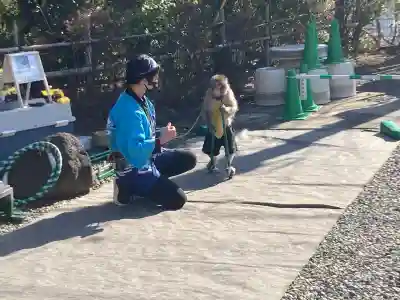大船観音寺(神奈川県)