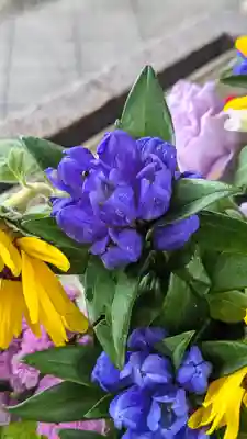 勝林寺(京都府)