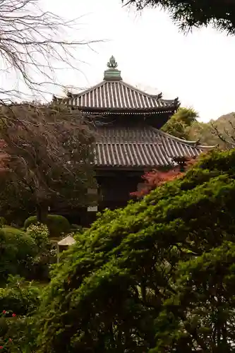 安楽寺(京都府)