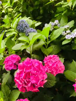 御裳神社の自然