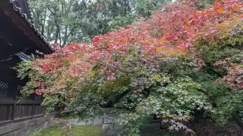 向日神社(京都府)