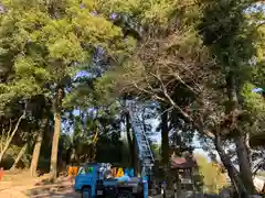 川田八幡神社の自然