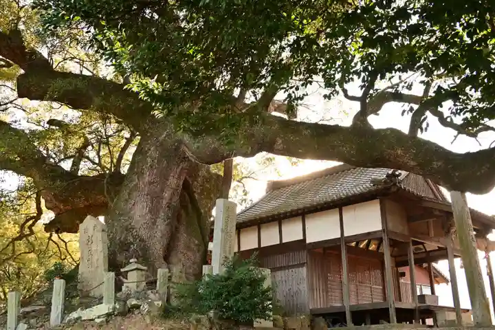 天満神社(愛媛県)