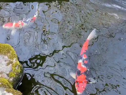 一條殿 新善光寺(京都府)