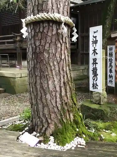 菟橋神社(石川県)
