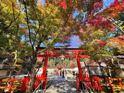 大原野神社の鳥居