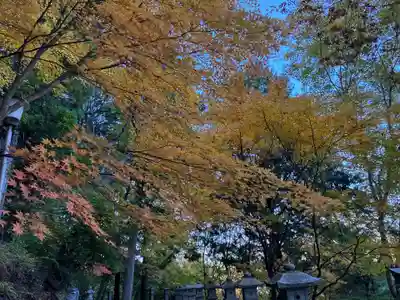焼山寺(徳島県)