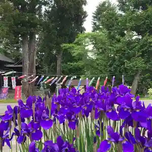 高司神社〜むすびの神の鎮まる社〜(福島県)(2024年05月13日(月) 09時59分59秒投稿)