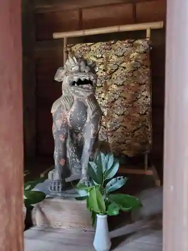 住吉神社の狛犬