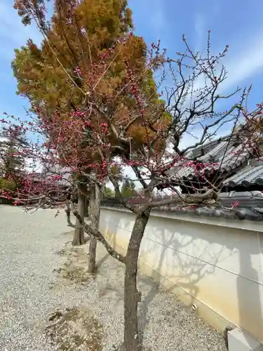 菅生神社の自然