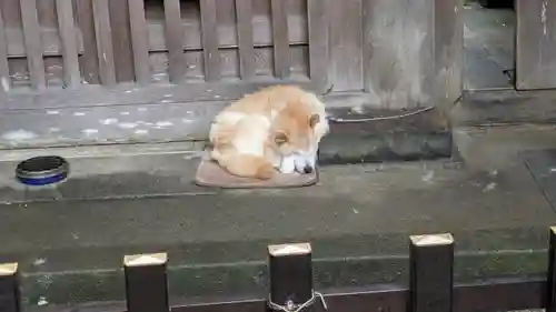 能満院(奈良県)