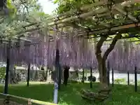 平等院(京都府)