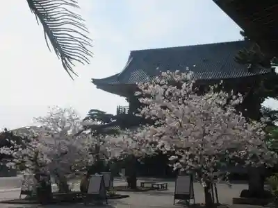 光明寺のその他建物
