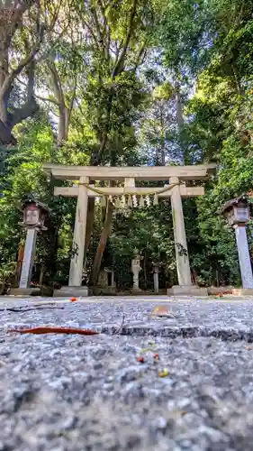 駒木諏訪神社の鳥居