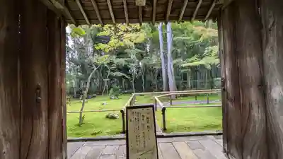 高桐院(京都府)