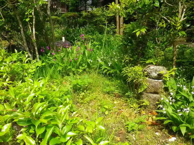 黄梅院(円覚寺塔頭)の自然