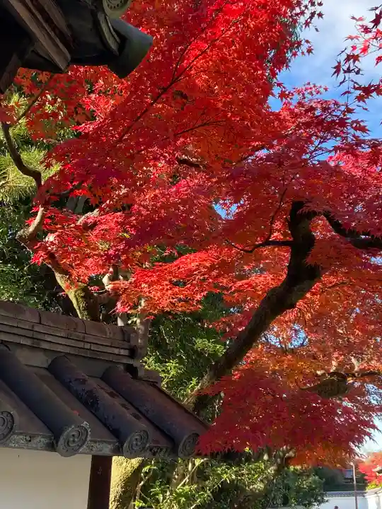 大雄院(京都府)