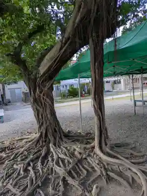 桃林寺(沖縄県)