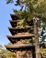 興福寺のその他建物