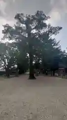 小垣江神明神社(愛知県)