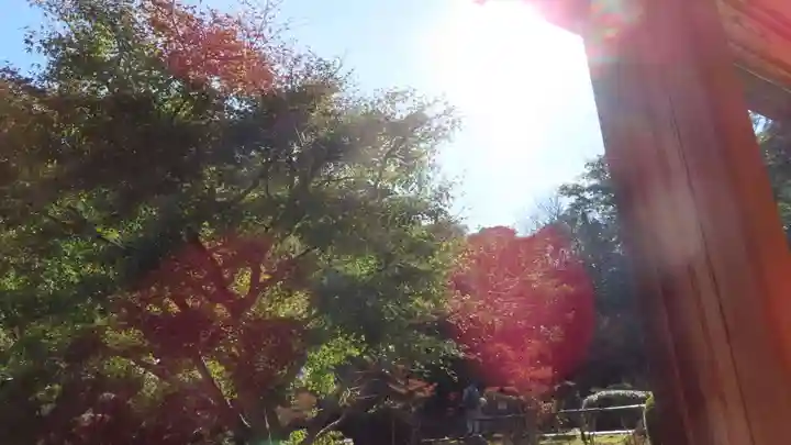 長壽寺(長寿寺)(神奈川県)