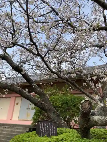 極楽寺（霊鷲山感應院極楽律寺）の自然