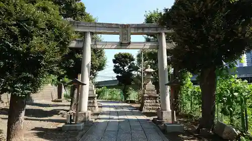 赤羽八幡神社の鳥居