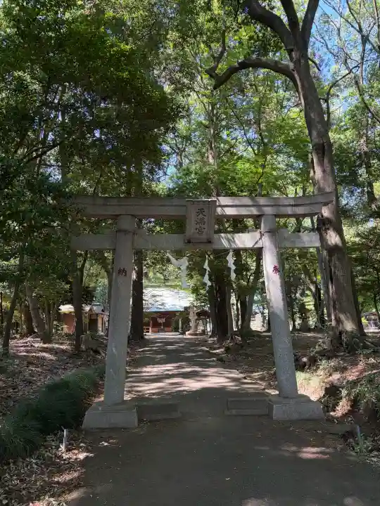 東蕗田天満社の{uncategorized: "未分類", other: "その他", undefined: "問題あり", building: "その他建物", grave: "お墓", sacred_gate: "鳥居", guardian: "狛犬", statue: "像", buddha: "仏像", history: "歴史", nature: "自然", garden: "庭園", animal: "動物", pagoda: "塔", temizu: "手水舎", mountain_gate: "山門・神門", sanctuary: "本殿・本堂", subordinate: "末社・摂社", art: "芸術", scenery: "景色", jizo: "地蔵", ema: "絵馬", goshuin: "御朱印", omikuji: "おみくじ", items: "授与品その他", amulet: "お守り", goshuincho: "御朱印帳", eats: "食事", festival: "お祭り", votive_dance: "神楽", shichigosan: "七五三参", wedding: "結婚式", experience: "体験その他", initially: "初詣", around: "周辺", anti_infection: "感染症対策"}