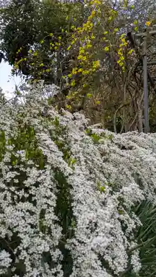 惠心院(京都府)