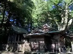 下野八幡大神社の本殿