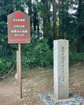 天満天神宮(茨城県)