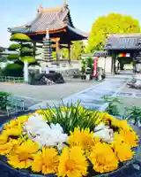 真言宗 善通寺派 薬王寺(香川県)