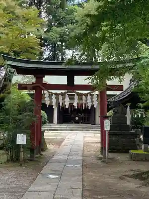 本太氷川神社(埼玉県)